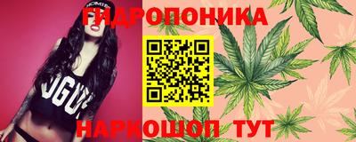 стафф Бузулук