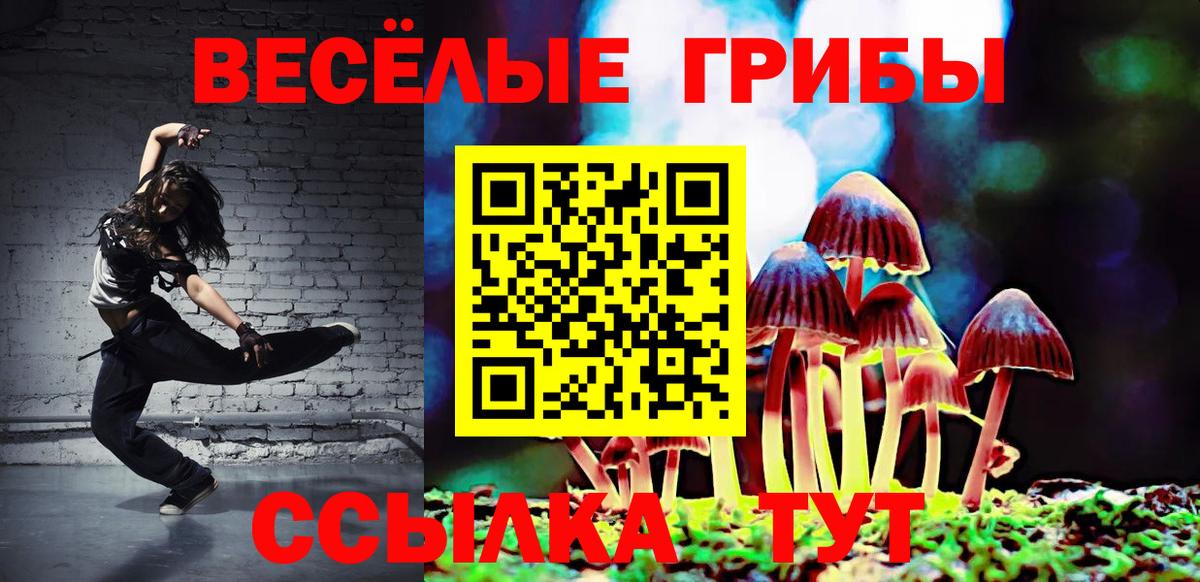 Галлюциногенные грибы Cubensis Сургут